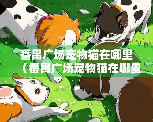 番禺广场宠物猫在哪里（番禺广场宠物猫在哪里领养）