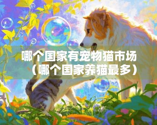 哪个国家有宠物猫市场（哪个国家养猫最多）