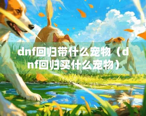 dnf回归带什么宠物（dnf回归买什么宠物）