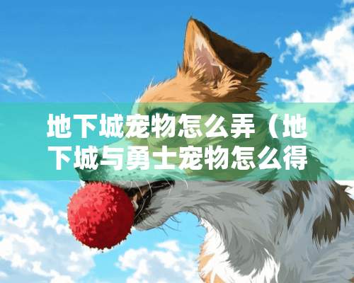 **城宠物怎么弄（**城与勇士宠物怎么得到）