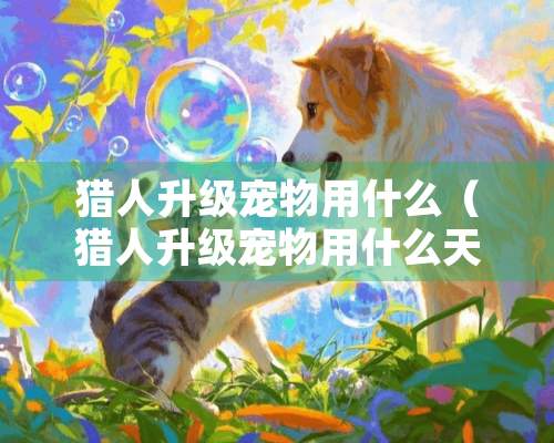 猎人升级宠物用什么（猎人升级宠物用什么天赋）