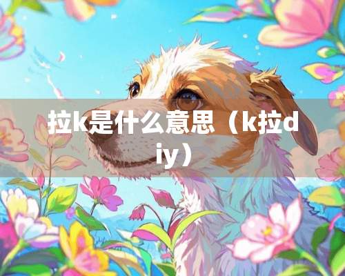 拉k是什么意思（k拉diy）