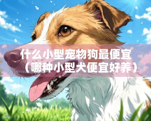 什么小型宠物狗最便宜（哪种小型犬便宜好养）