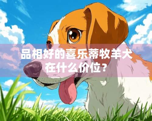 品相好的喜乐蒂牧羊犬在什么价位？