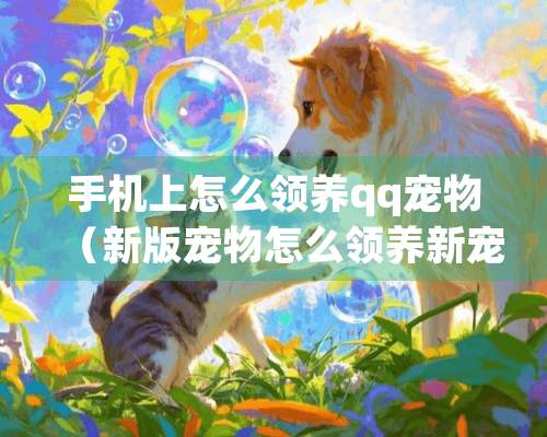 手机上怎么领养qq宠物（新版宠物怎么领养新宠物）