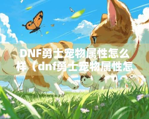 DNF勇士宠物属性怎么样（dnf勇士宠物属性怎么样提升）