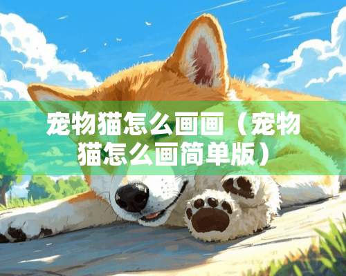 宠物猫怎么画画（宠物猫怎么画简单版）