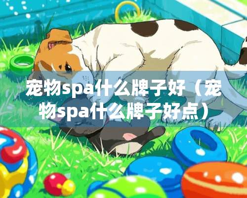 宠物spa什么牌子好（宠物spa什么牌子好点）