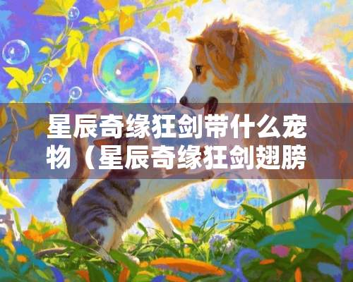 星辰奇缘狂剑带什么宠物（星辰奇缘狂剑翅膀技能）