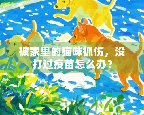 被家里的猫咪抓伤，没打过疫苗怎么办？