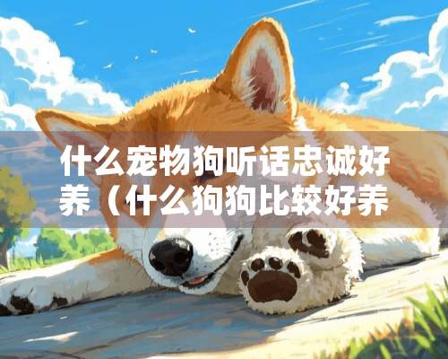 什么宠物狗听话忠诚好养（什么狗狗比较好养,忠诚一点的）