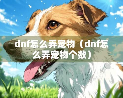 dnf怎么弄宠物（dnf怎么弄宠物个数）