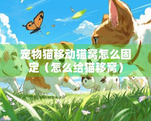 宠物猫移动猫窝怎么固定（怎么给猫移窝）