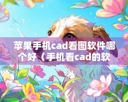 苹果手机cad看图软件哪个好（手机看cad的软件）