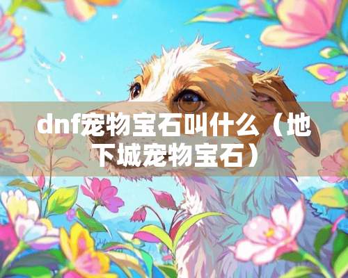 dnf宠物宝石叫什么（**城宠物宝石）