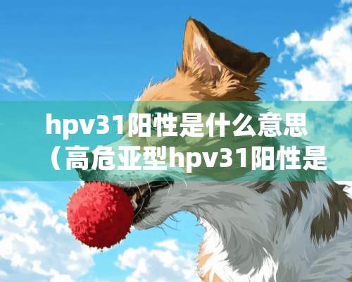 hpv31阳性是什么意思（高危亚型hpv31阳性是什么意思）