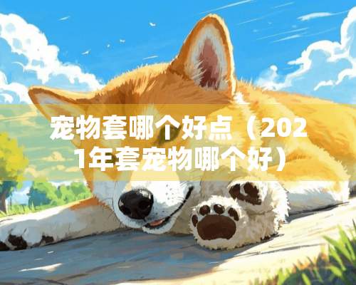 宠物套哪个好点（2021年套宠物哪个好）