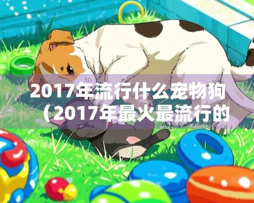 2017年流行什么宠物狗（2017年最火最流行的歌曲有哪些）