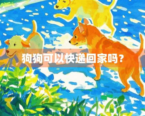 狗狗可以快递回家吗？