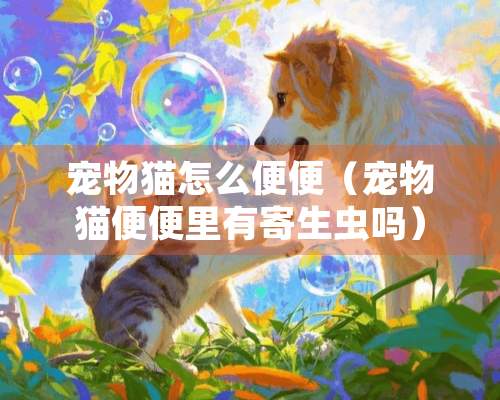 宠物猫怎么便便（宠物猫便便里有寄生虫吗）