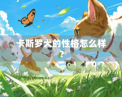 卡斯罗犬的性格怎么样？