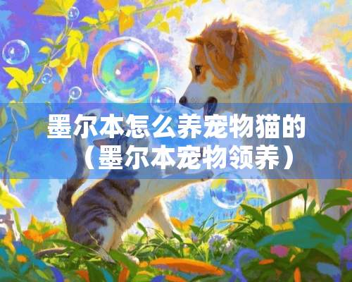 墨尔本怎么养宠物猫的（墨尔本宠物领养）