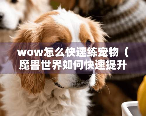 wow怎么快速练宠物（魔兽世界如何快速提升宠物）