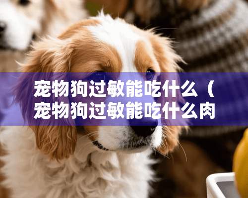 宠物狗过敏能吃什么（宠物狗过敏能吃什么肉）