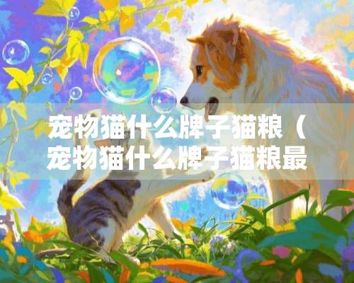 宠物猫什么牌子猫粮（宠物猫什么牌子猫粮最好）