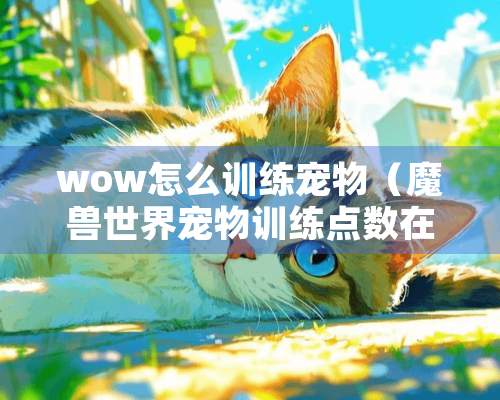 wow怎么训练宠物（魔兽世界宠物训练点数在哪设置图片）