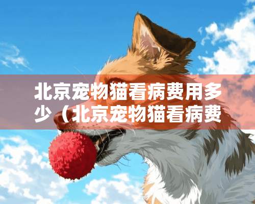 北京宠物猫看病费用多少（北京宠物猫看病费用多少钱一天）