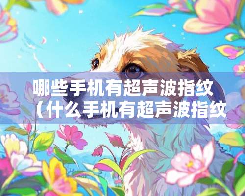 哪些手机有***指纹（什么手机有***指纹）