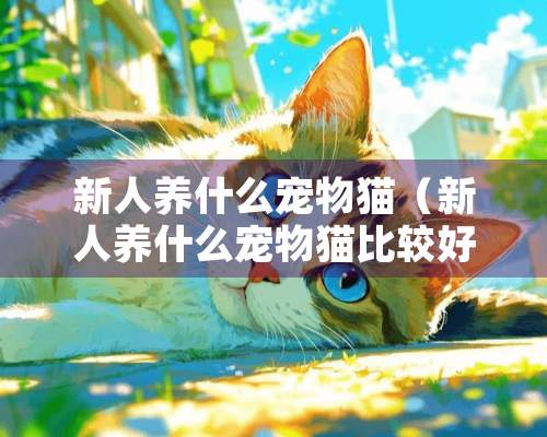 新人养什么宠物猫（新人养什么宠物猫比较好）