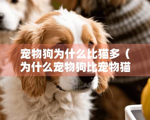 宠物狗为什么比猫多（为什么宠物狗比宠物猫便宜）