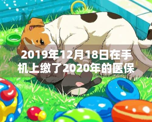 2019年12月18日在手机上缴了2020年的医保