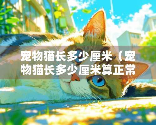 宠物猫长多少厘米（宠物猫长多少厘米算正常）