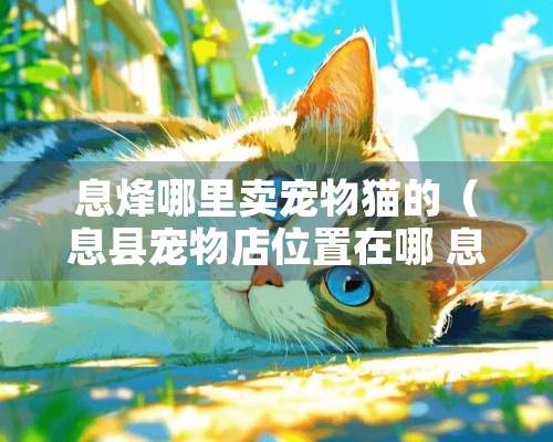 息烽哪里卖宠物猫的（息县宠物店位置在哪 息县哪里卖宠物狗宠物犬）