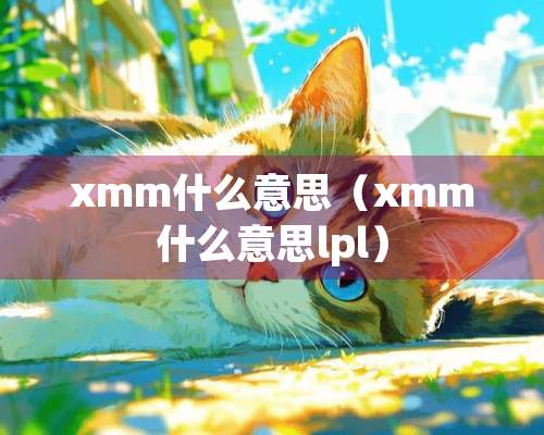 xmm什么意思（xmm什么意思lpl）