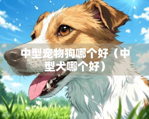 中型宠物狗哪个好（中型犬哪个好）