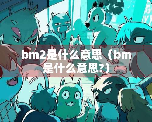 bm2是什么意思（bm是什么意思?）