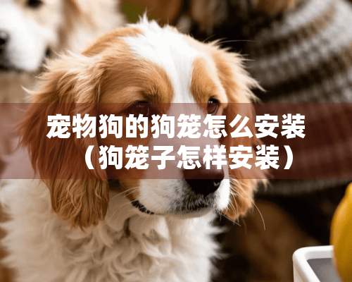 宠物狗的狗笼怎么安装（狗笼子怎样安装）