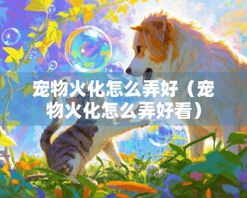 宠物火化怎么弄好（宠物火化怎么弄好看）