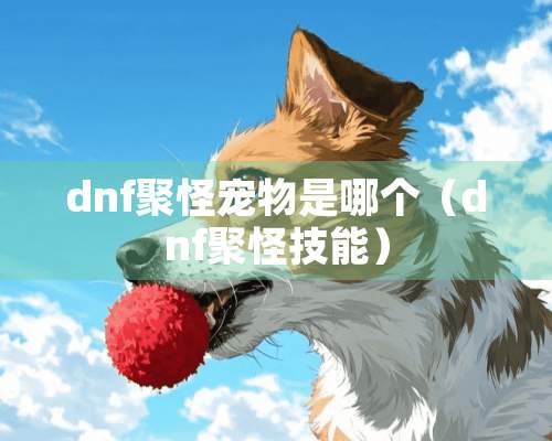 dnf聚怪宠物是哪个（dnf聚怪技能）