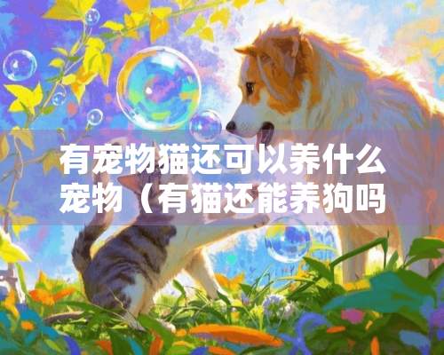 有宠物猫还可以养什么宠物（有猫还能养狗吗）