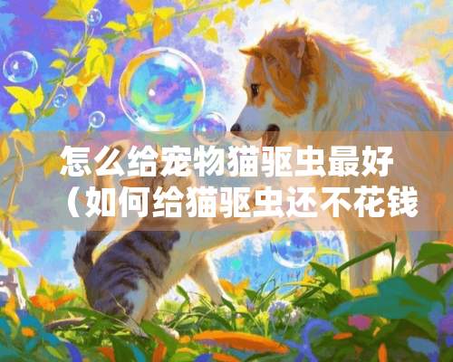 怎么给宠物猫驱虫最好（如何给猫驱虫还不花钱）