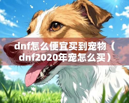 dnf怎么便宜买到宠物（dnf2020年宠怎么买）