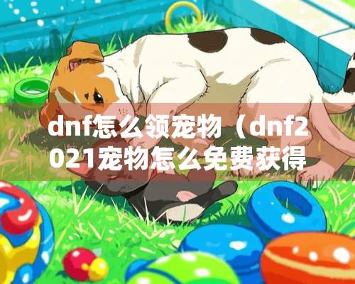 dnf怎么领宠物（dnf2021宠物怎么免费获得）