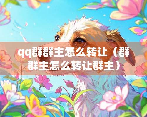 qq群群主怎么转让（群群主怎么转让群主）