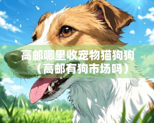 高邮哪里收宠物猫狗狗（高邮有狗市场吗）