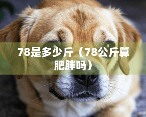 78是多少斤（78公斤算肥胖吗）